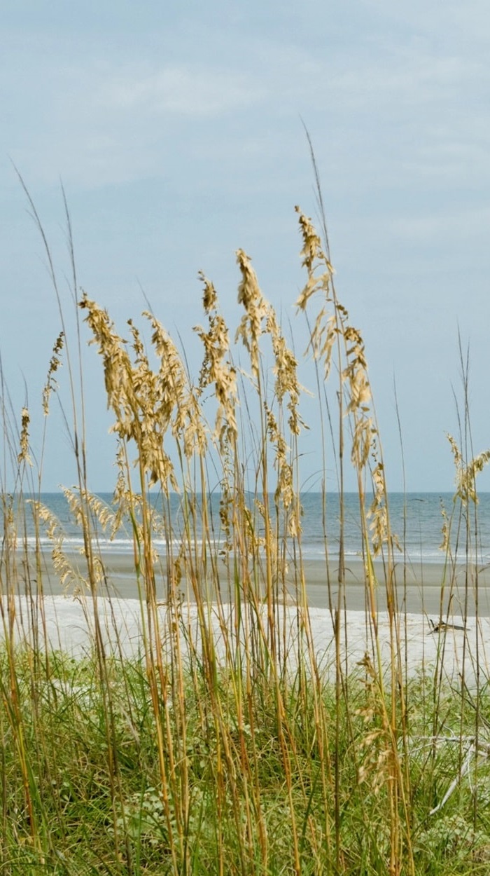Book your Hilton Head Island dream vacation at Swallowtail at Sea Pines